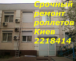 Кузьмин Кузьмин