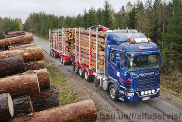 Дрова дубові, березові, соснові. Заготівля, продаж, доставка дров у Київ та по області. Колоті, цурки, метрівки