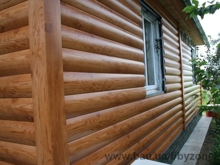 Корпорация Бизон