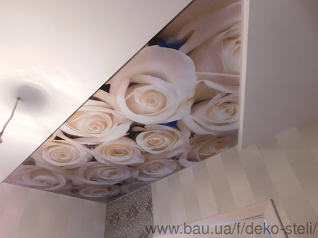 Фотопечать розы