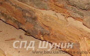 доска сухая &mdash; Шунин В.Н.