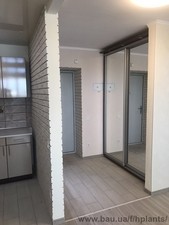 Гіпсокартонні перегородки &mdash; Хелси Плантс