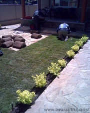 Ландшафтный дизайн — Кипарис Ландшафтный дизайн — Кипарис