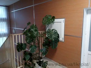 спортзал &mdash; Криплат Украина