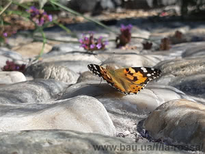 Студія ландшафтного проектування "La Rossa" &mdash; La Rossa