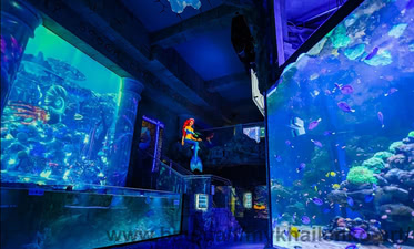 Львівський океанаріум — Михайленко-АРТ Львівський океанаріум — Михайленко-АРТ