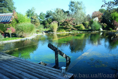 Плавательный экопруд