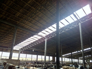 Зентиные фонари из профилированного поликарбоната ТМ Borrex &mdash; Оскар Груп