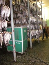 Контроль влажности при сушке рыбы &mdash; Осушители Интернет-магазин