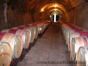 Контроль микроклимата в винном погребе &mdash; Осушители Интернет-магазин