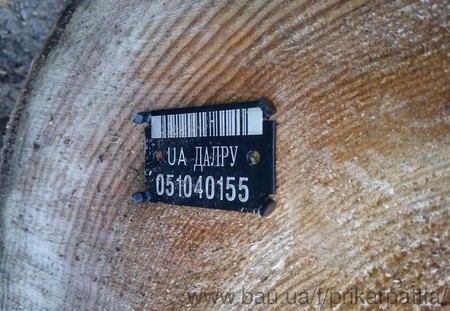 Официальный лес