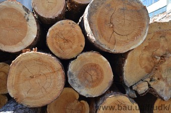 Закупка древесины — Украинская деревообрабатывающая компания Закупка древесины — Украинская деревообрабатывающая компания