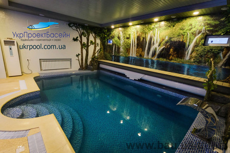 Частный бассейн в Чернигове