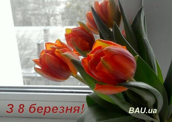 BAU.ua вітає чарівних дам з 8 березня!