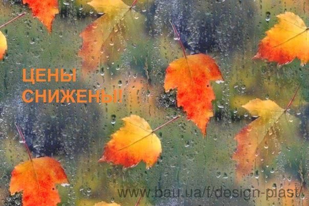 Зниження цін! Осінь глибока - ціни низькі Зниження цін! Осінь глибока - ціни низькі