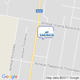 TAURUS TM на мапі TAURUS TM на мапі