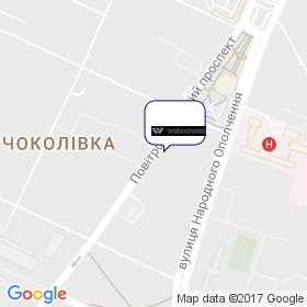 Wisniowski Ukraine | Польські брами на мапі