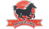 Логотип компанії Мустанг-Україна