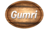 Логотип компанії Гюмри