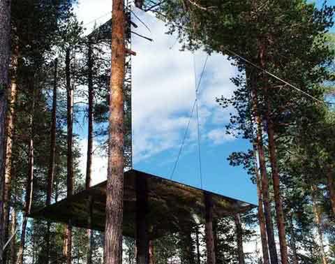 У Швеції відкривається готель на дереві