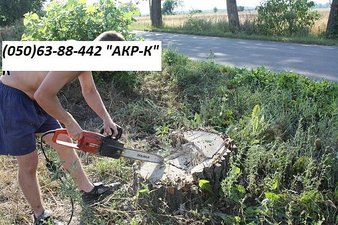 Вырубка деревьев. Уборка участков 0506388442 — Акр-К Вырубка деревьев. Уборка участков 0506388442 — Акр-К