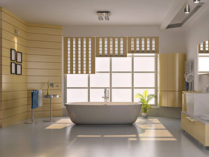 Окна в ванной &mdash; Лучшие Окна