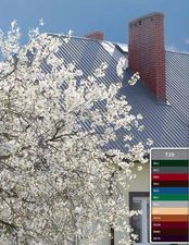 Металлопрофиль &mdash; Дом-С