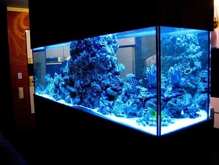 Проект номер 3