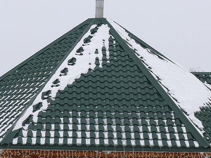 Водяники &mdash; Євро-Прокат