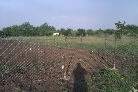 Прозрачный забор для дачи