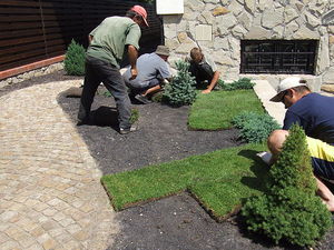 Укладка рулонного газону. &mdash; Грин Лион
