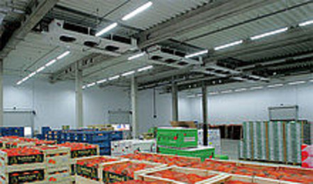 Овощехранилища