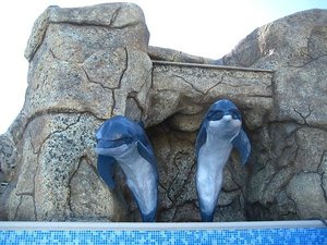 Ландшафтные работы, ремонт и отделка &mdash; HomeUp service