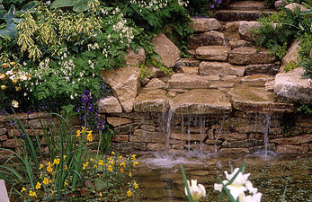 водоспади — Ландшафт-студія водоспади — Ландшафт-студія