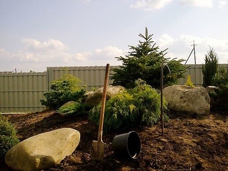 Озеленення ділянки-Ландшафтний дизайн