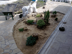 Озеленення ділянки-Ландшафтний дизайн &mdash; Ландшафт-студія