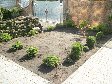 Газон за день