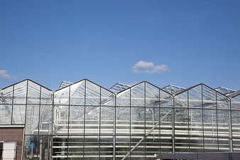 Строительство промышленных теплиц &mdash; Лиана