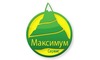 Логотип компанії Максімум-сервіс