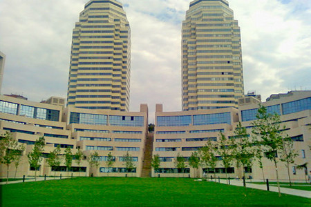 Рулонный газон