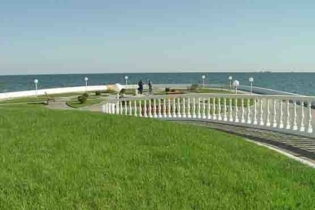 Рулонный газон