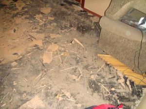 Демонтаж старого пола — Укладка ламината Демонтаж старого пола — Укладка ламината