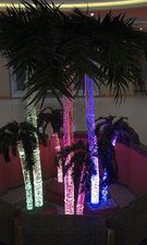 Аква-пальма — Центр АКВА-дизайна Аква-пальма — Центр АКВА-дизайна