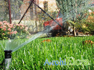 Автоматический полив, проектирование и монтаж. Харьков. — АрхиФлора Автоматический полив, проектирование и монтаж. Харьков. — АрхиФлора