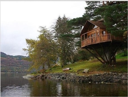 Дом на дереве