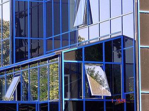 Зимний САД &mdash; Монарда, ЧП