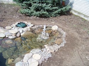 озеро — Кам`яне джерело озеро — Кам`яне джерело