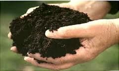 Перегной, Чернозем-Земля, Глина - Доставка машинами Зил, Камаз. В Мешках по 50кг/50л. &mdash; Погрузка-Днепр