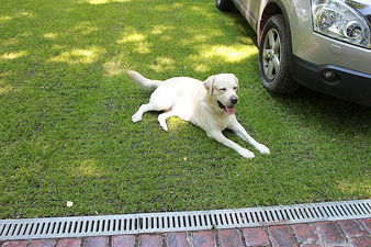 Standartpark &mdash; Стандарт Парк