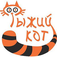 Рудий Кіт